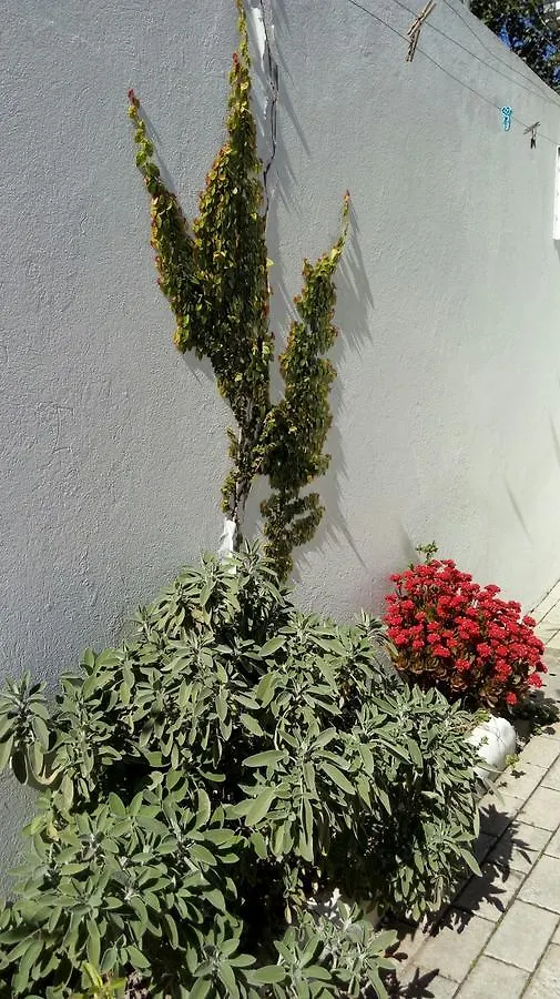 Norte Hospedagem Lages Διαμέρισμα